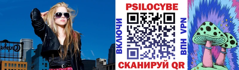 где можно купить наркотик  Багратионовск  Псилоцибиновые грибы прущие грибы 