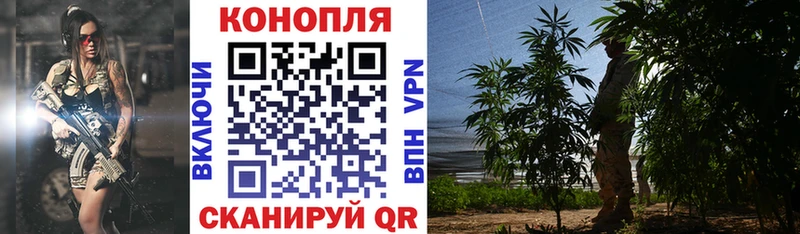 Марихуана семена  кракен ССЫЛКА  Багратионовск 